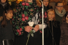 IMG_8004 (768x1024)