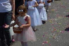 DSC_0442 (663x1024)