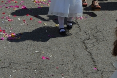 DSC_0445 (641x1024)
