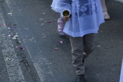 DSC_0473 (678x1024)