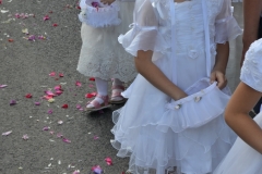 DSC_0493 (678x1024)