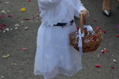 DSC_0495 (650x1024)