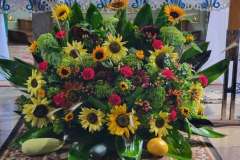 539421701_1168807035285002_167416284546000331_n