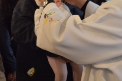 DSC_0206 (665x1024)